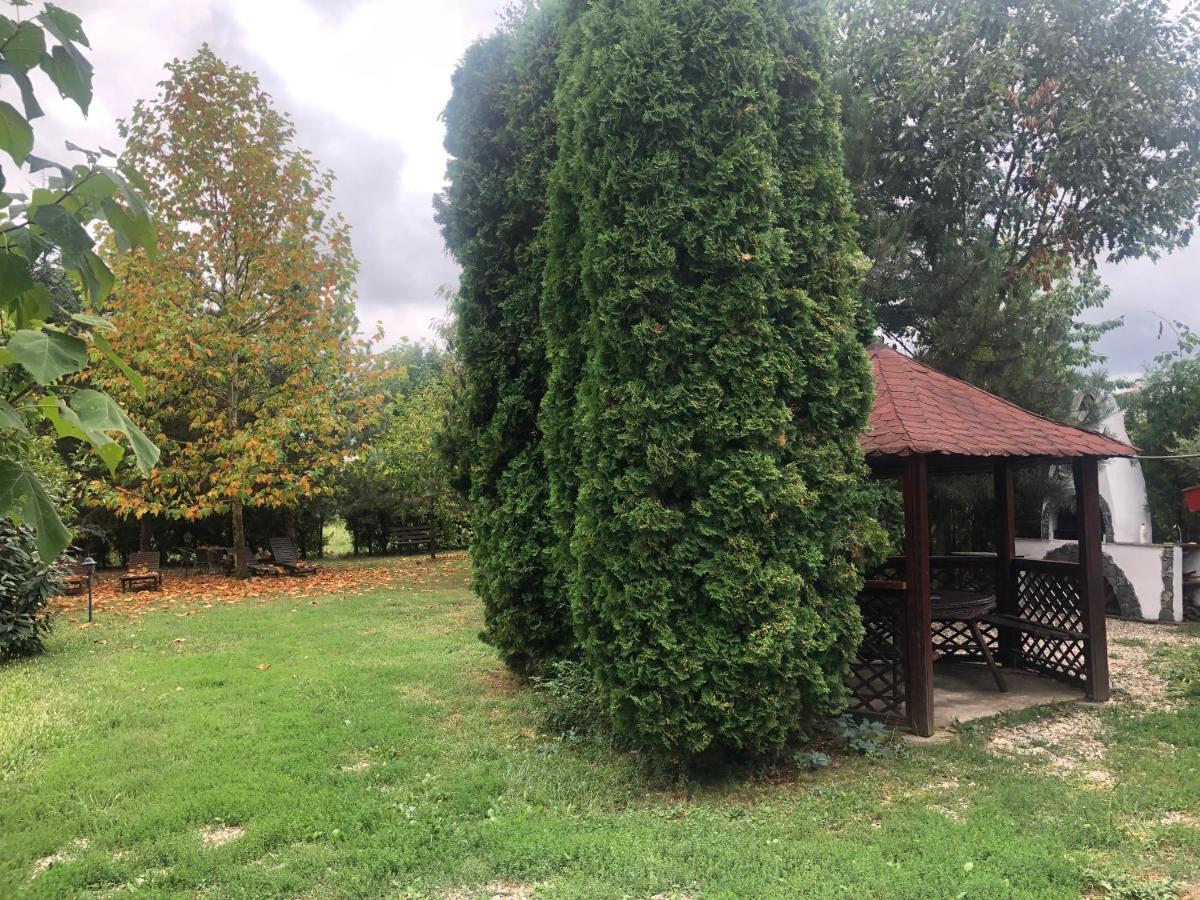 Argeselu Garden Villa Maracineni Dış mekan fotoğraf