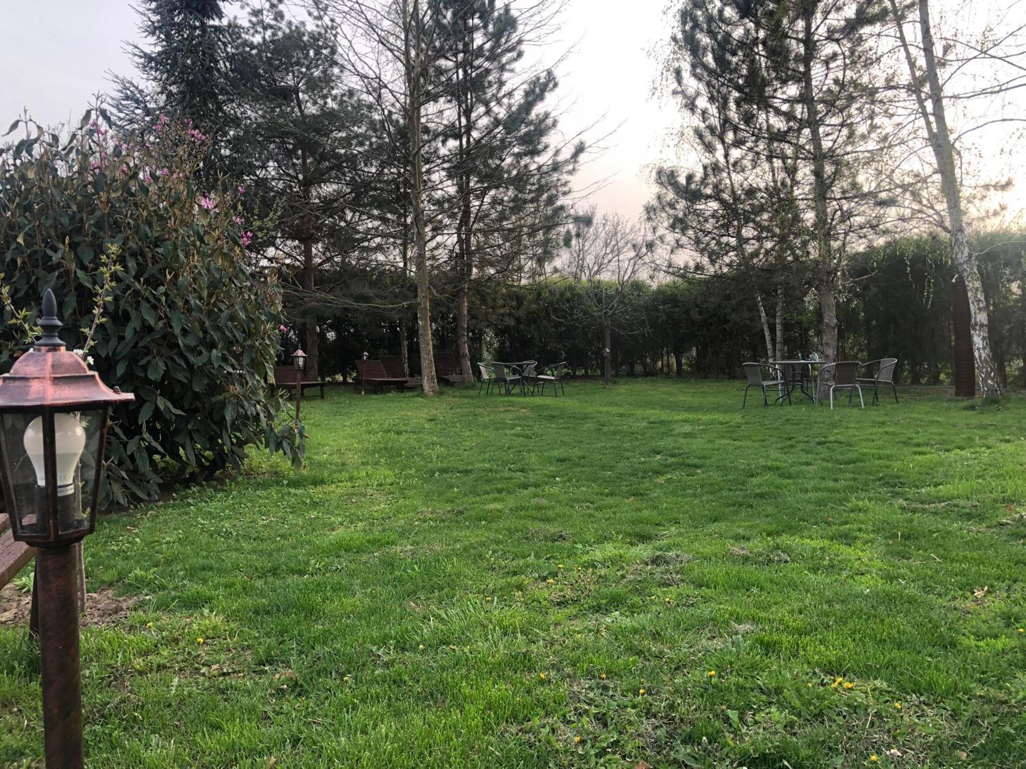 Argeselu Garden Villa Maracineni Dış mekan fotoğraf