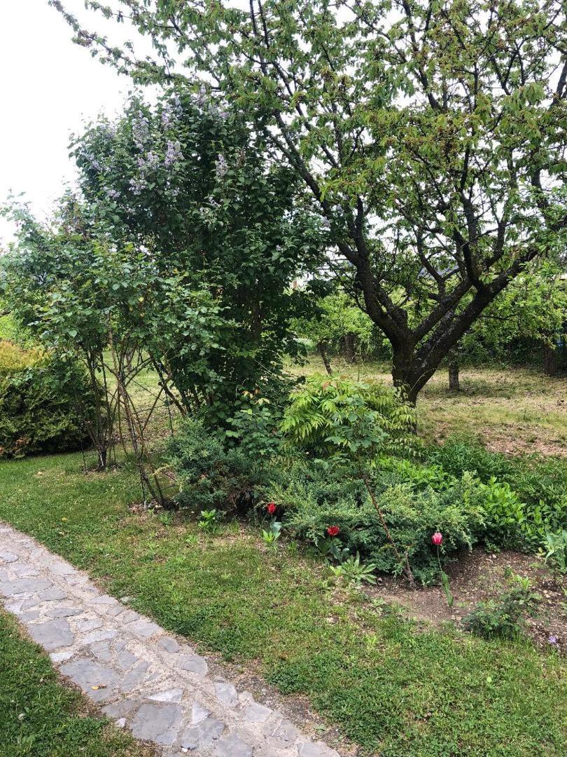 Argeselu Garden Villa Maracineni Dış mekan fotoğraf